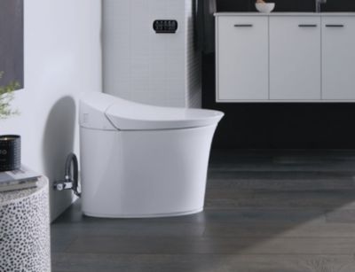 1.1 Phần thân bồn cầu